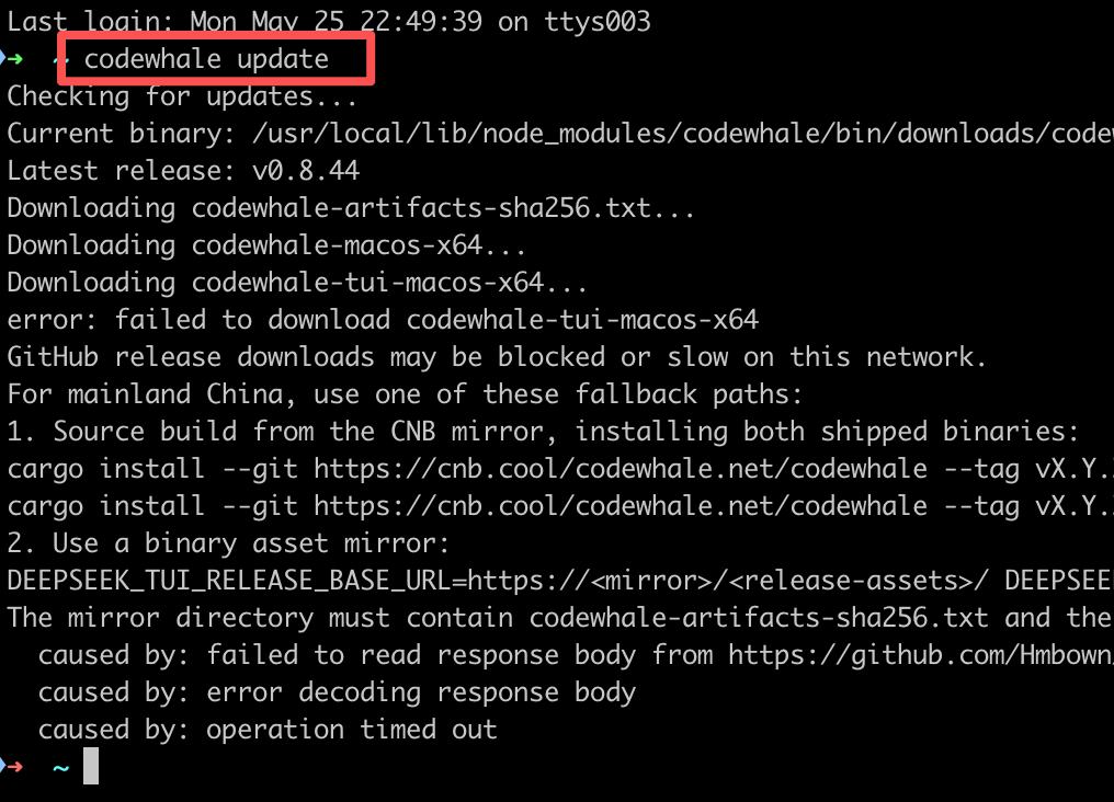 codewhale update 示例